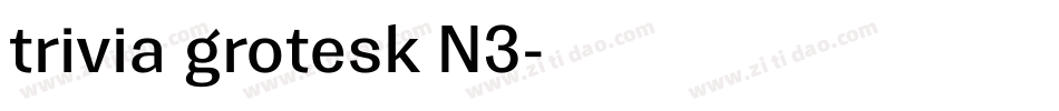 trivia grotesk N3字体转换